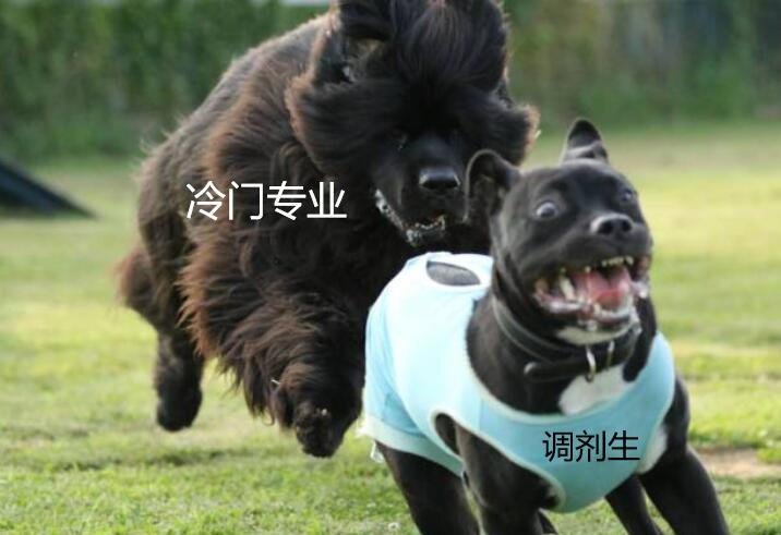 西安外国语大学是几本 西安外国语算不算名校
