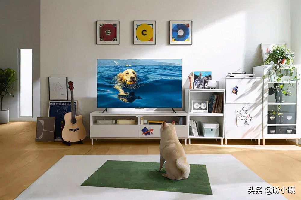 网络电视直播 网络电视直播软件哪个好