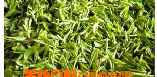 毛尖的功效与作用 毛尖多少钱一斤啊