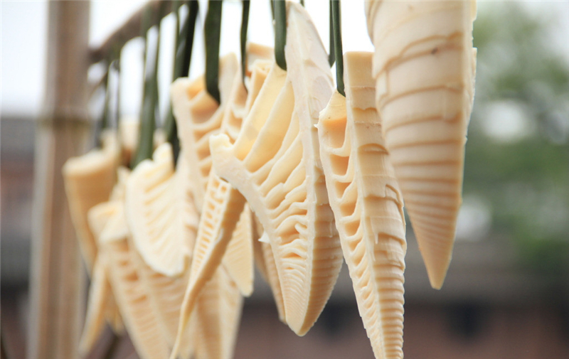 竹笋怎么做好吃 竹笋怎么做好吃又简单的做法