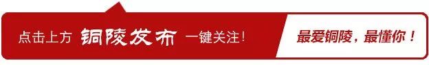 铜陵人力资源和社会保障网 铜陵人力资源官网