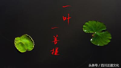 看破红尘是什么意思(看破红尘大彻大悟的句子)