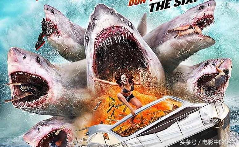 有关鲨鱼的电影有啥关于鲨鱼的电影