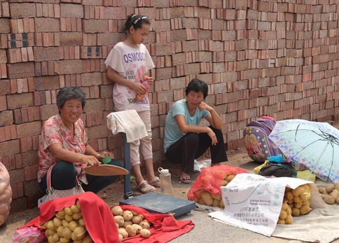前车之鉴后车之师 后车之师猜一肖