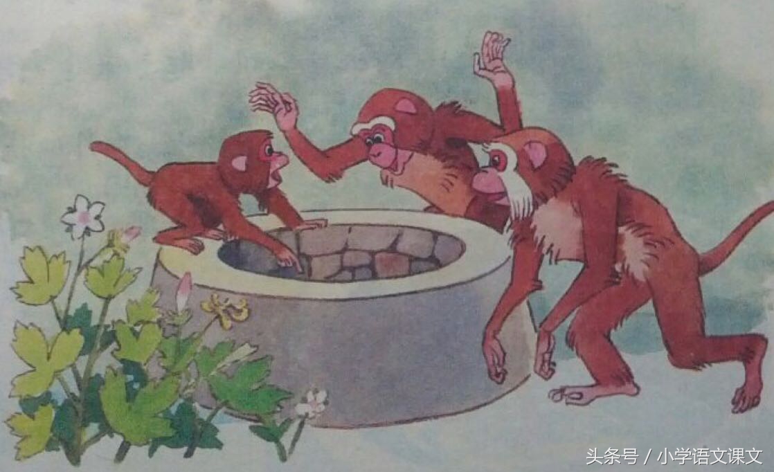 猴子捞月亮的故事 猴子捞月亮的故事告诉我们的道理