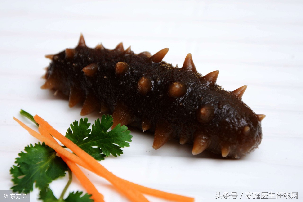 海参的功效与作用 海参吃多少才有功效