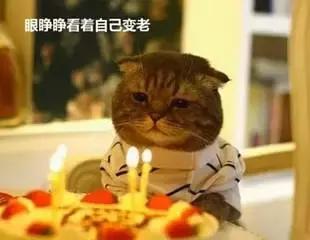 nice是什么中文意思 很nice的意思是什么