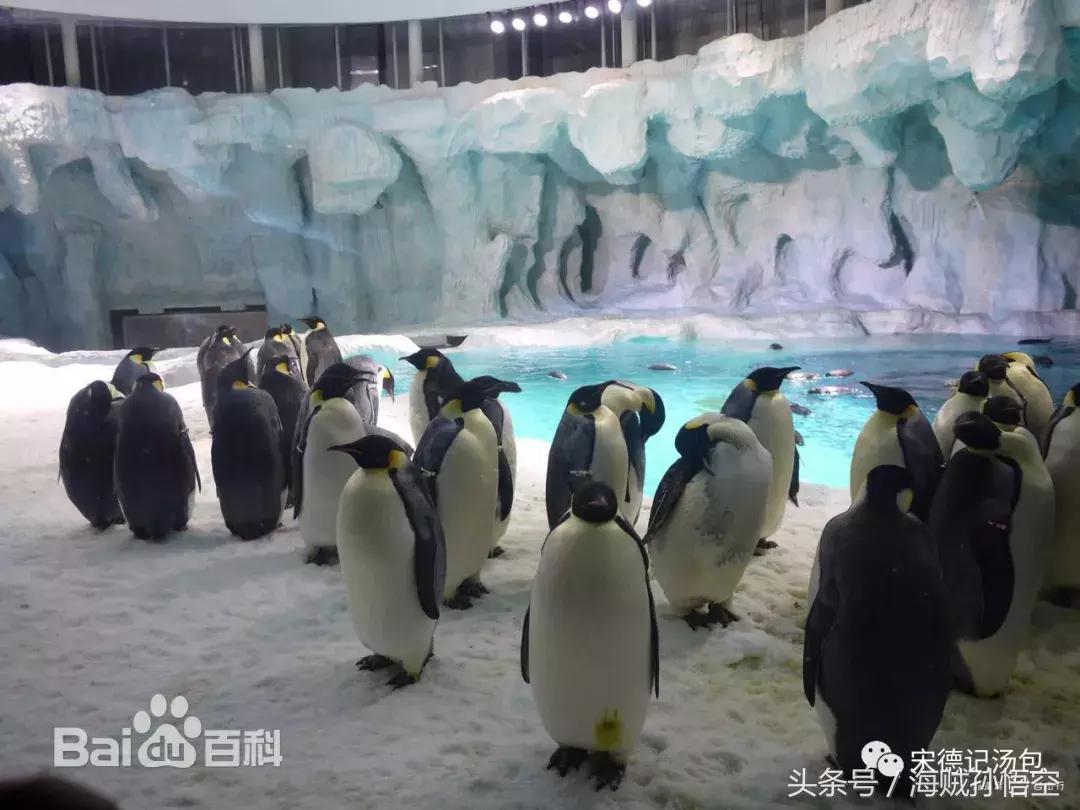 珠海长隆海洋王国 长隆门票价格一览表