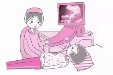 股骨长是什么意思 股骨长是女孩吗