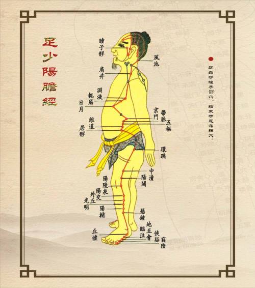 足少阳胆经循行路线图,足少阳胆经循行路线图视频