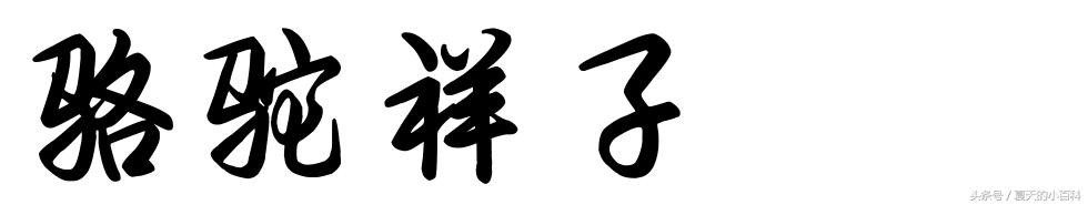 骆驼祥子好词好句 《骆驼祥子》读书笔记