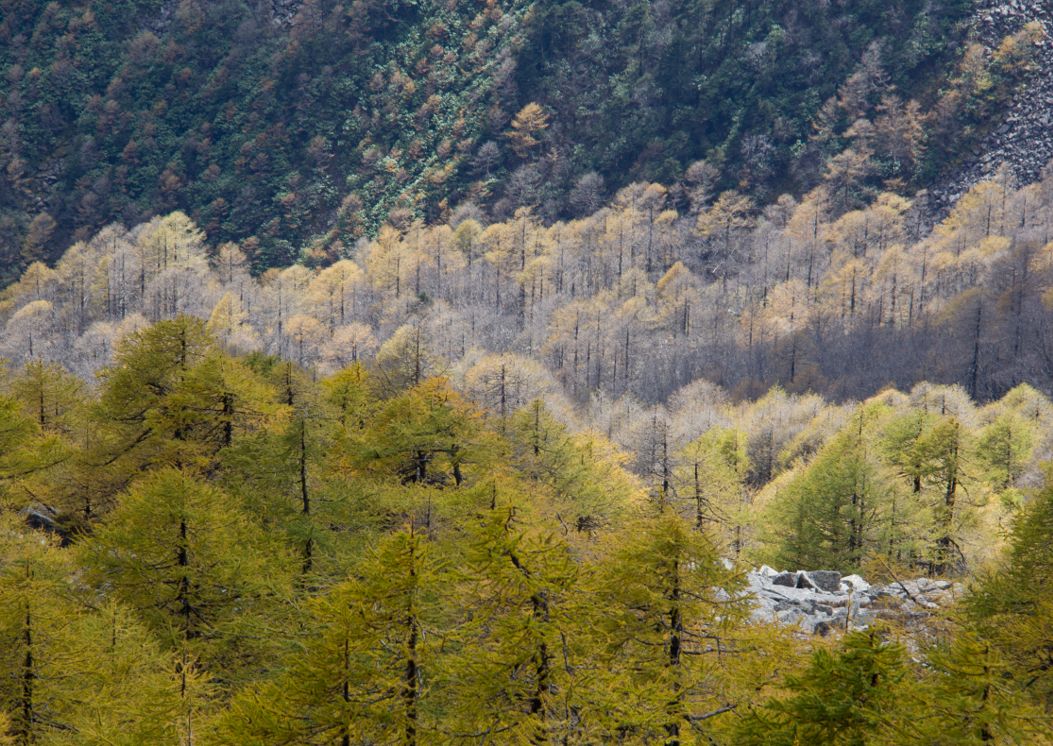 國慶假期太白山旅游區接待游客34.95萬人次