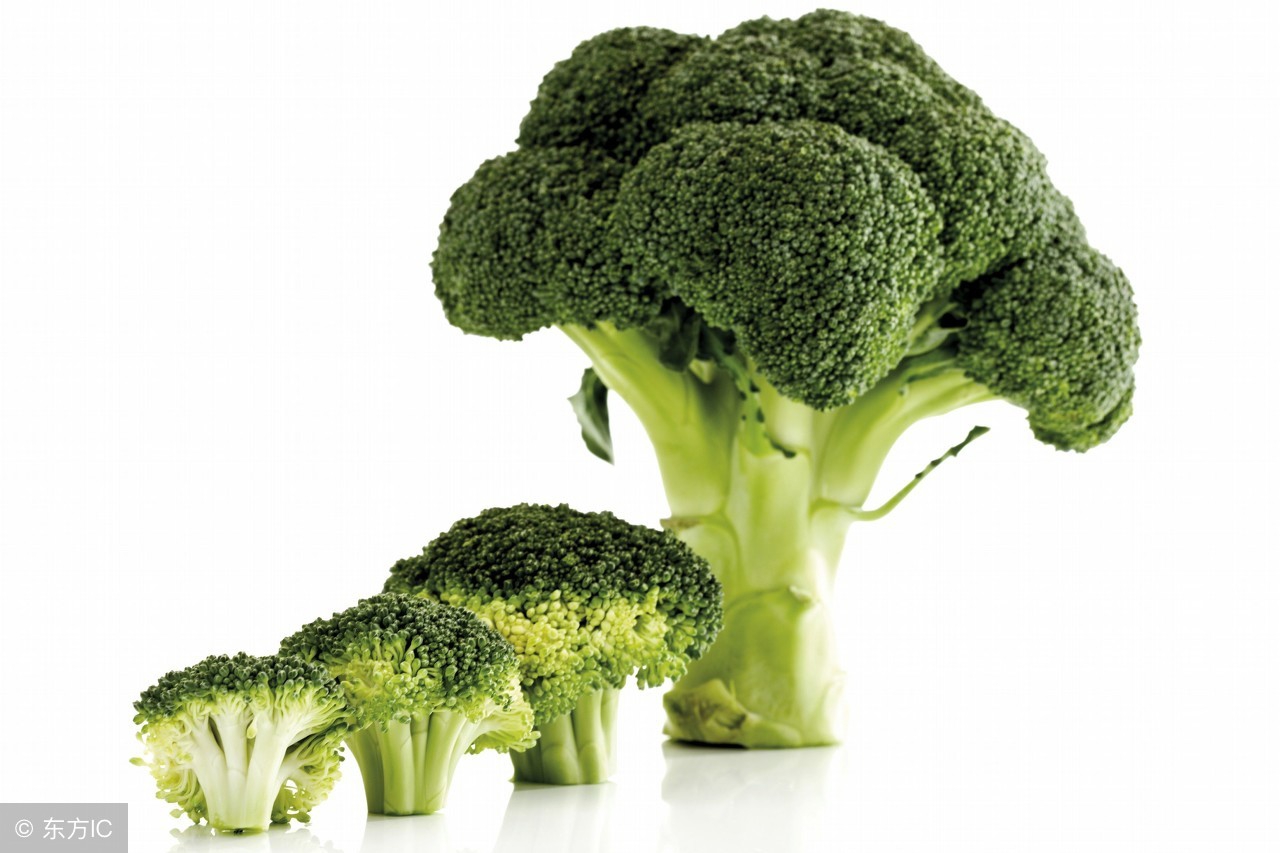 broccoli broccolibutts tum