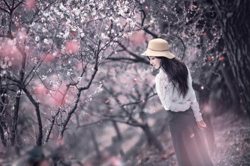 自在飞花轻似梦无边丝雨细如愁 自在飞花轻似梦完整版