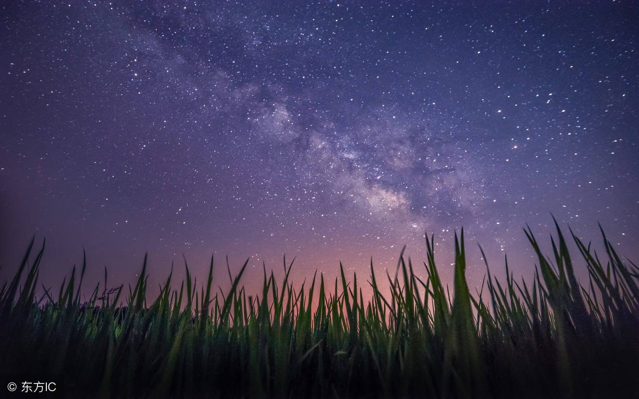 夜空中最亮的星歌词 最亮的星星儿歌