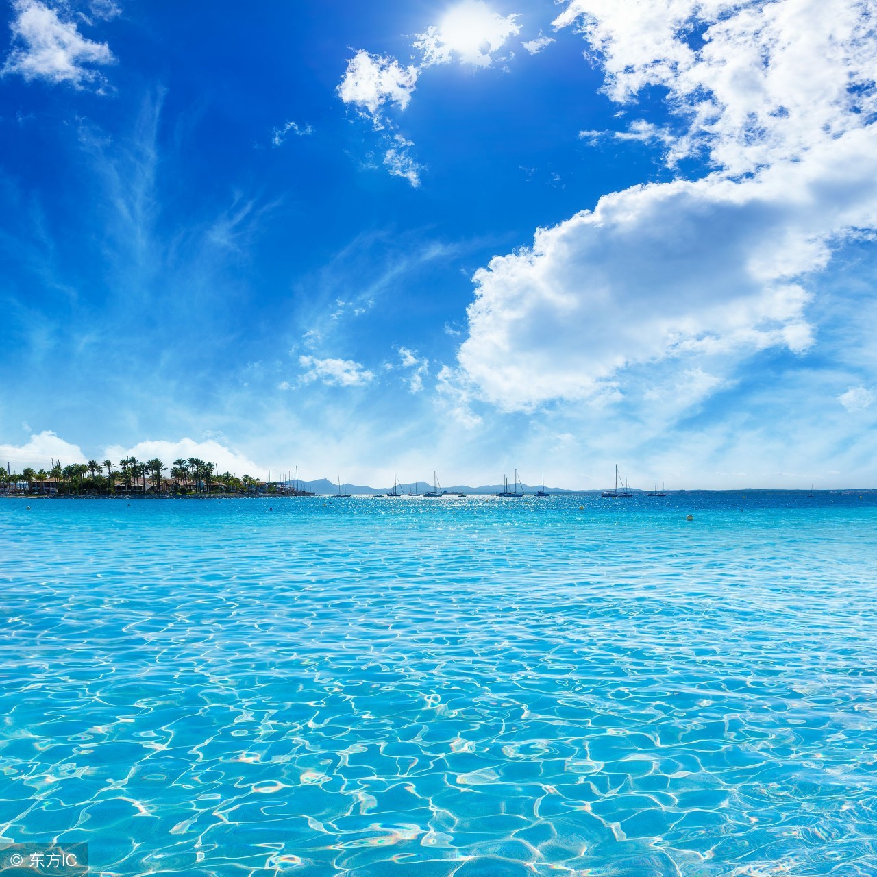 惜别的海岸原唱