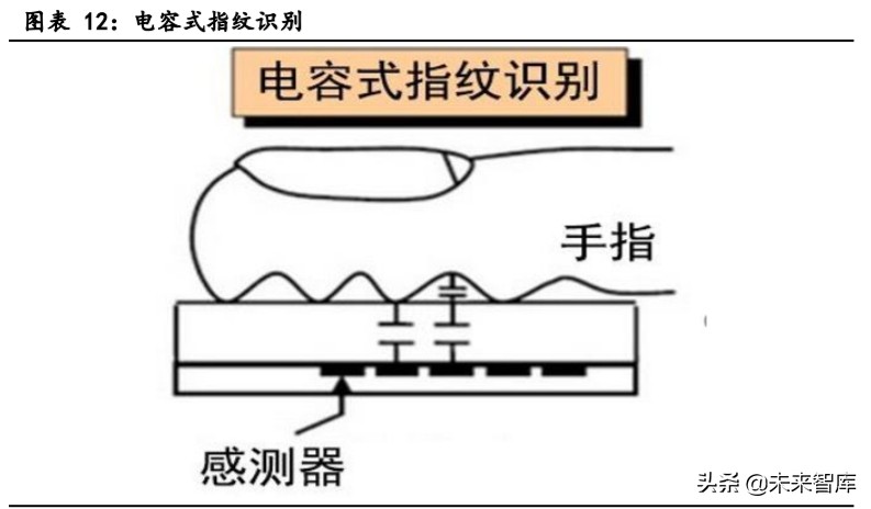 生物识别技术产业发展深度报告：指纹与人脸识别