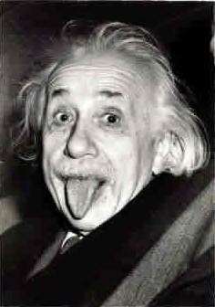einstein einstein简介