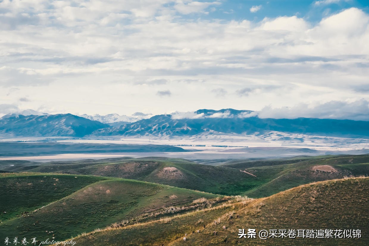 新疆旅行,昭苏超冷门"聚宝盆"阿合牙孜沟,美景尽有,自驾必去