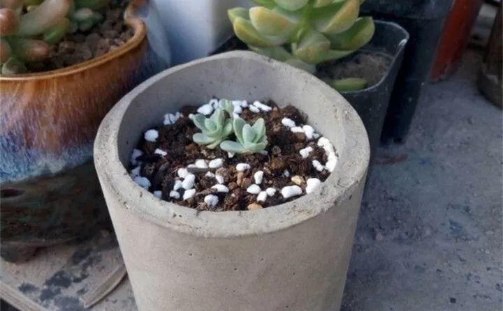 水泥做花盆手工制作水泥花盆教程
