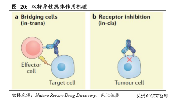 生物医药专题之单抗行业深度报告：综述篇