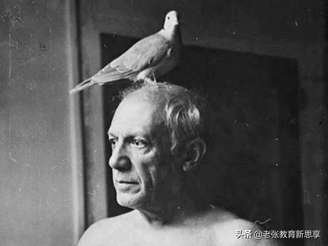 毕加索是什么画派 毕加索是属于什么画派