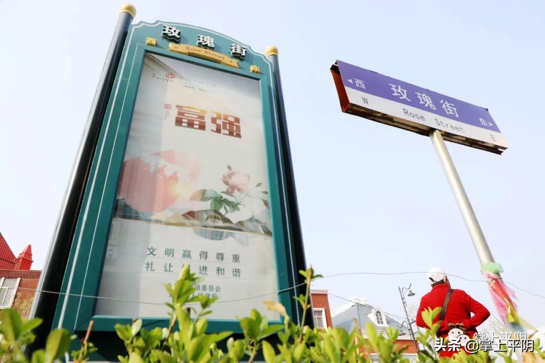 1314玫瑰小镇 1314玫瑰小镇手机登录