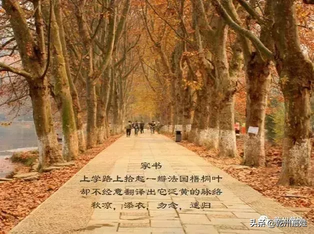 【app】三行诗(组诗)