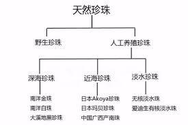 淡水珍珠和海水珍珠的区别 海水珍珠可以佩戴几年