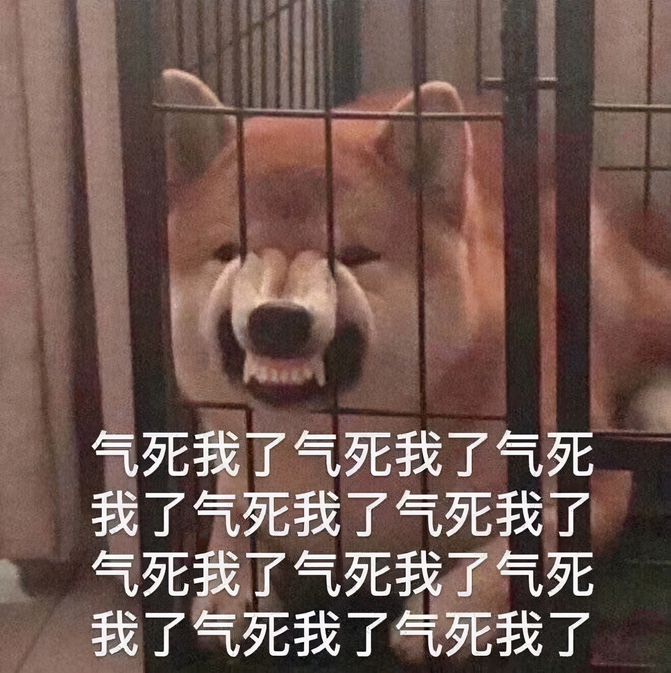360安全卫士下载 360电视卫士官方下载