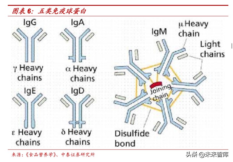 食品饮料行业深度报告：抗疫，从合理饮食开始