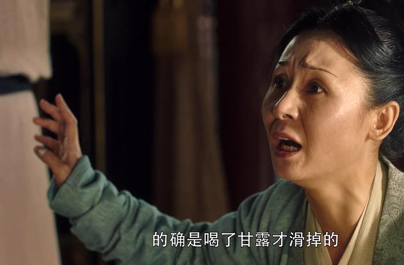电视剧狸猫换太子 狸猫换太子几集几部
