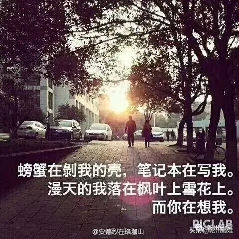 【app】三行诗(组诗)