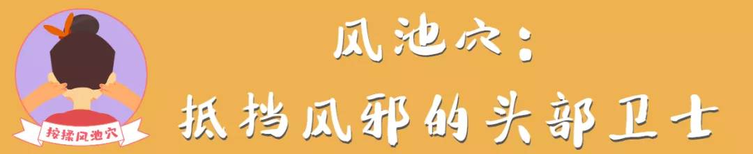 风池的准确位置图 风池的神奇功效