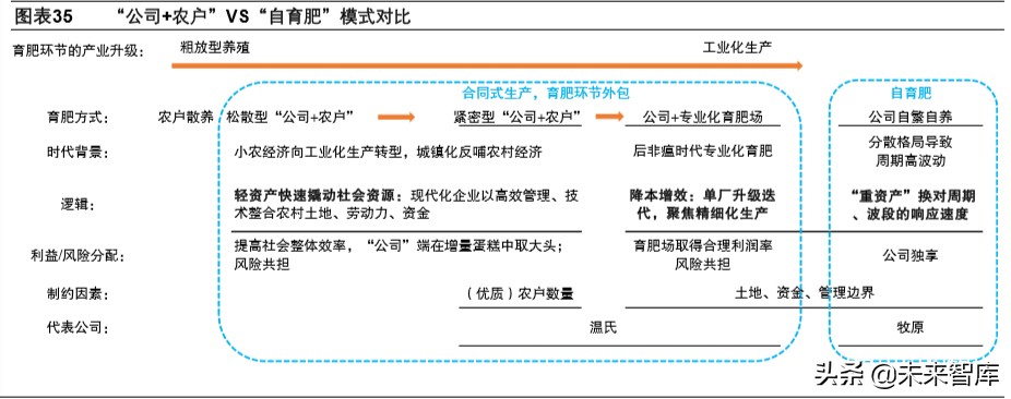双疫情下中国生猪产业链专题报告