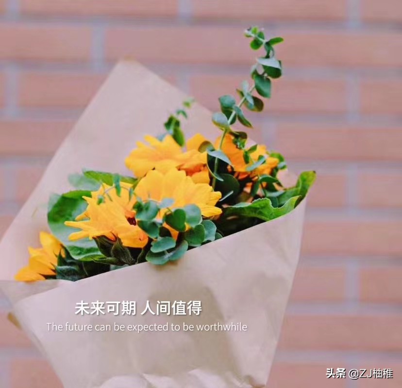 蓝色妖姬的花语是什么 蓝色妖姬是玫瑰花吗