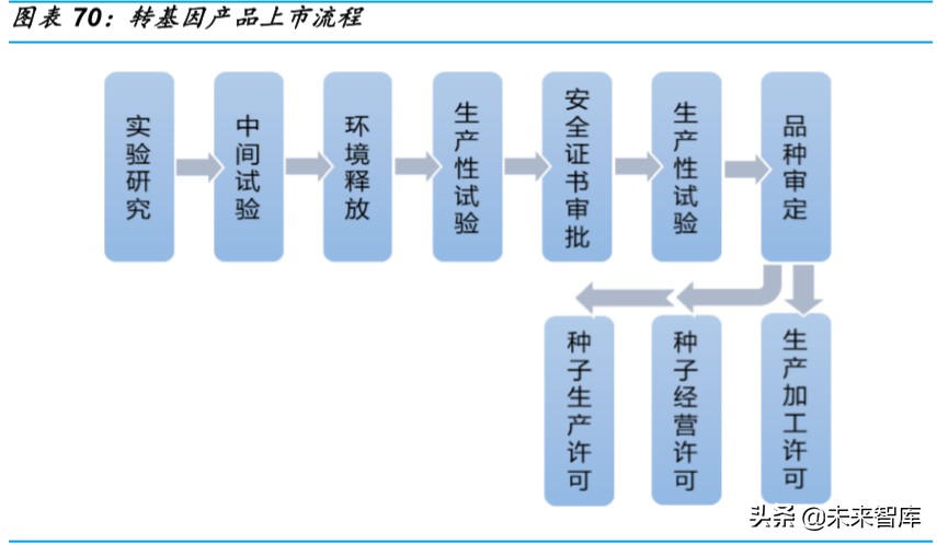 种业深度研究：乘转基因之风，国内种业加速整合发展