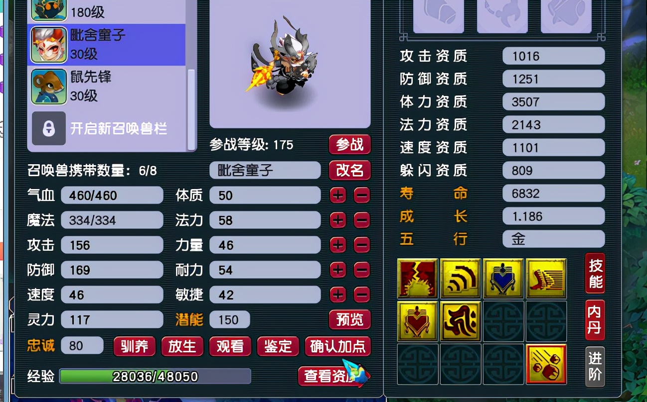 梦幻西游：五开速度属性争论不休，到底需要达到多少才算合格？