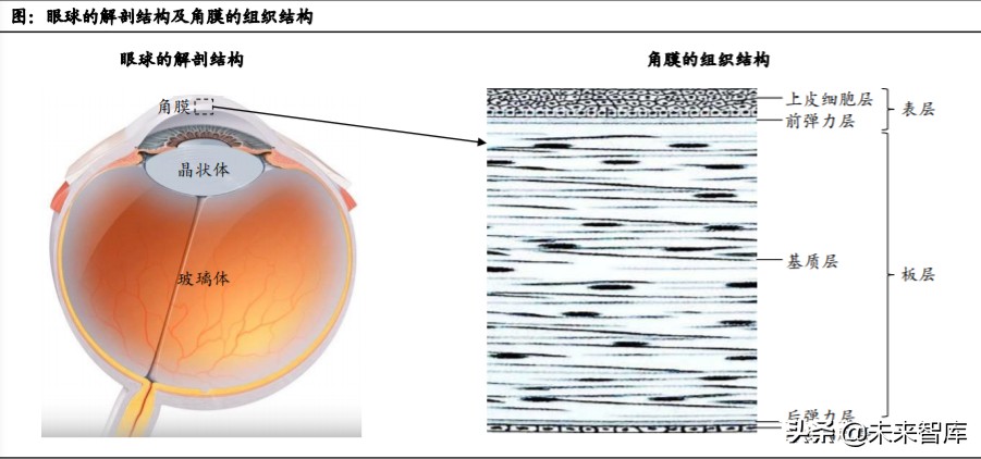 眼科產業鏈深度報告：創新驅動，服務為王
