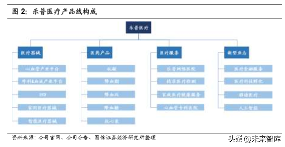 医药行业专题报告之乐普医疗深度研究