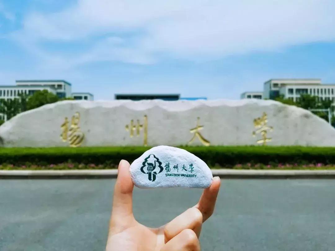 扬州大学研究生网 张雪峰点评扬州大学