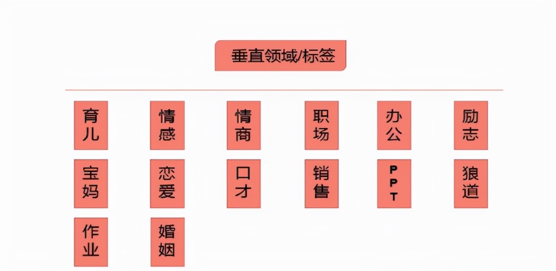 抖音最新算法详解:垂直领域/标签、倒三