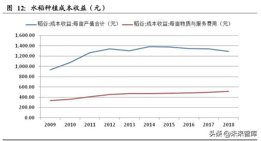 粮食供需分析及国内外种业发展对比专题报告