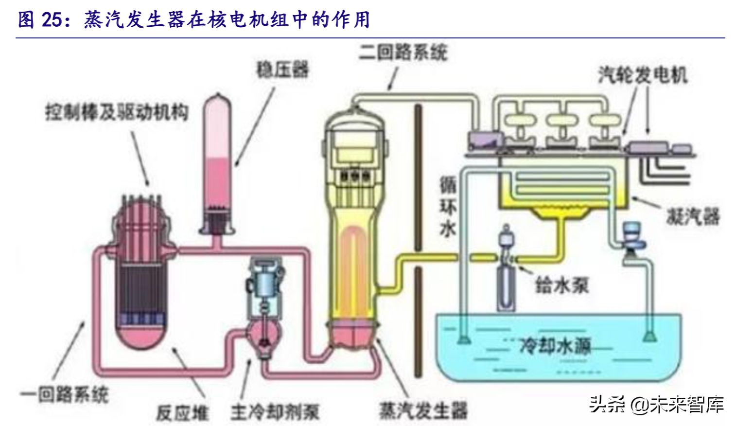 核电深度研究报告：曙光已现，锐者当先