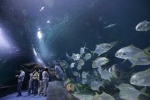 天津极地海洋世界 天津极地海洋馆里面看啥