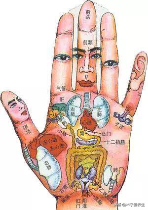 手掌纹路图解 手掌纹路图解 男性