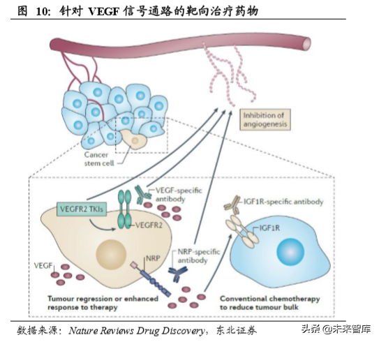 医药生物单抗行业深度研究：靶点篇