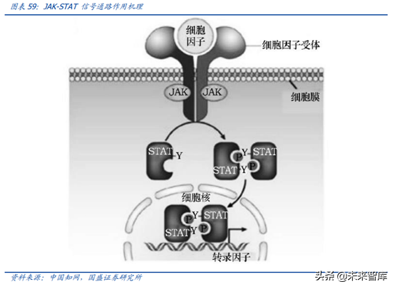 医药行业龙头恒瑞医药深度解析（74页）