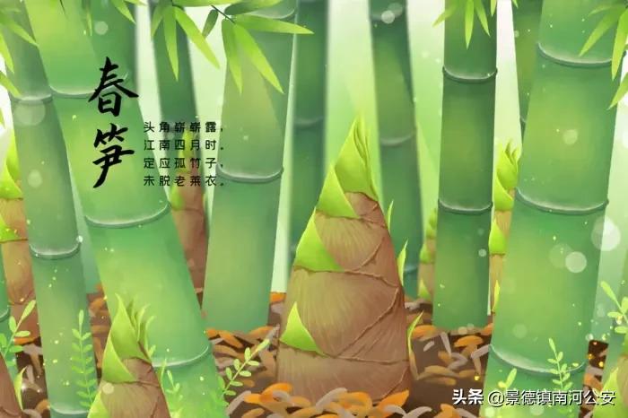 诗歌大全100首 儿童诗歌大全100首