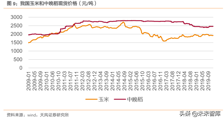 种子行业专题报告：转基因育种放开是否改变种业竞争格局？